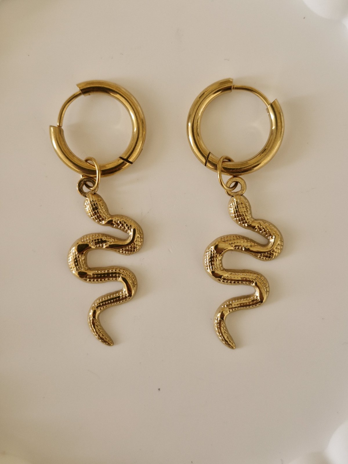 Ατσάλινα σκουλαρίκια Φίδι